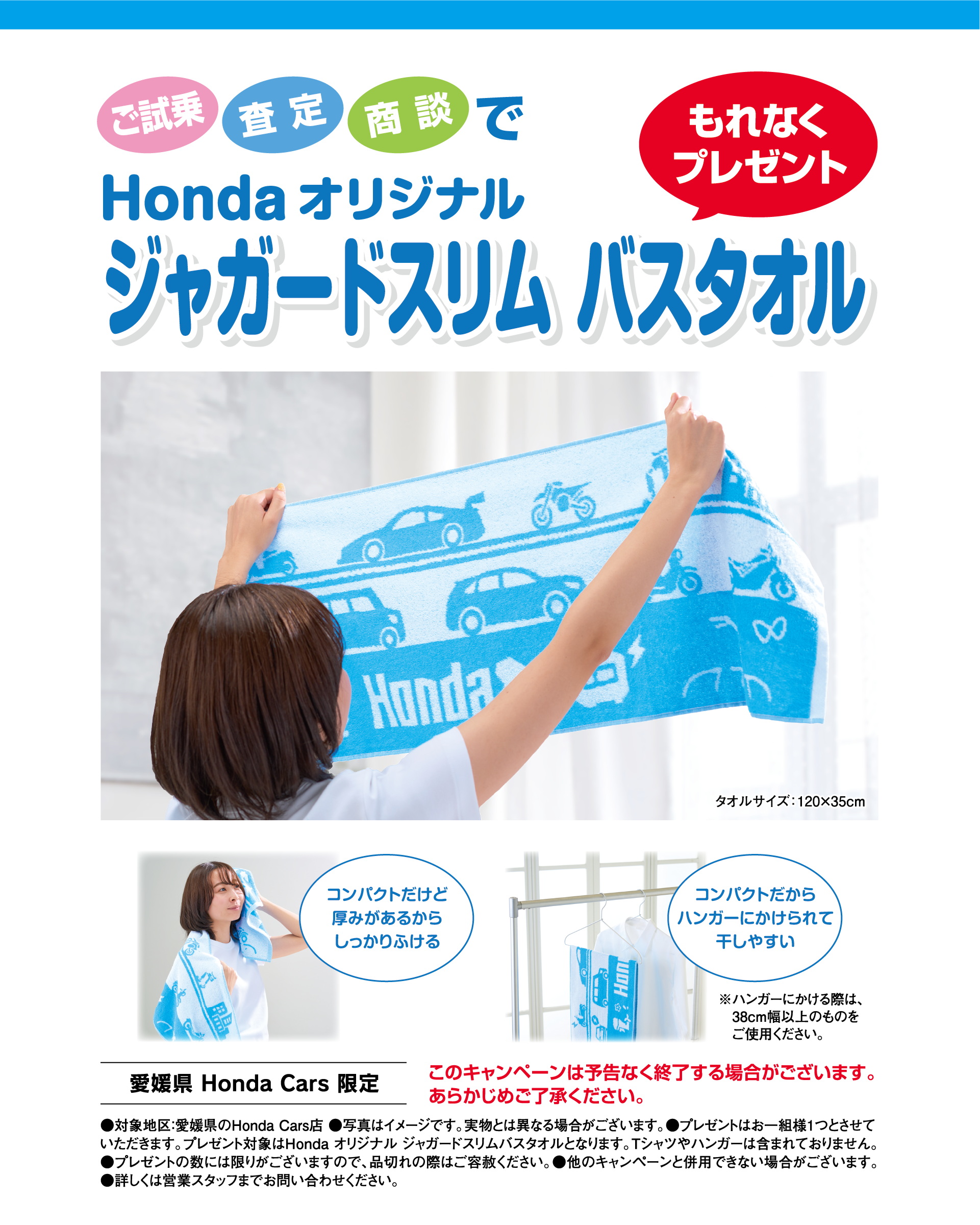 ご試乗・査定・商談で ホンダ HONDA オリジナル クーラーバッグ