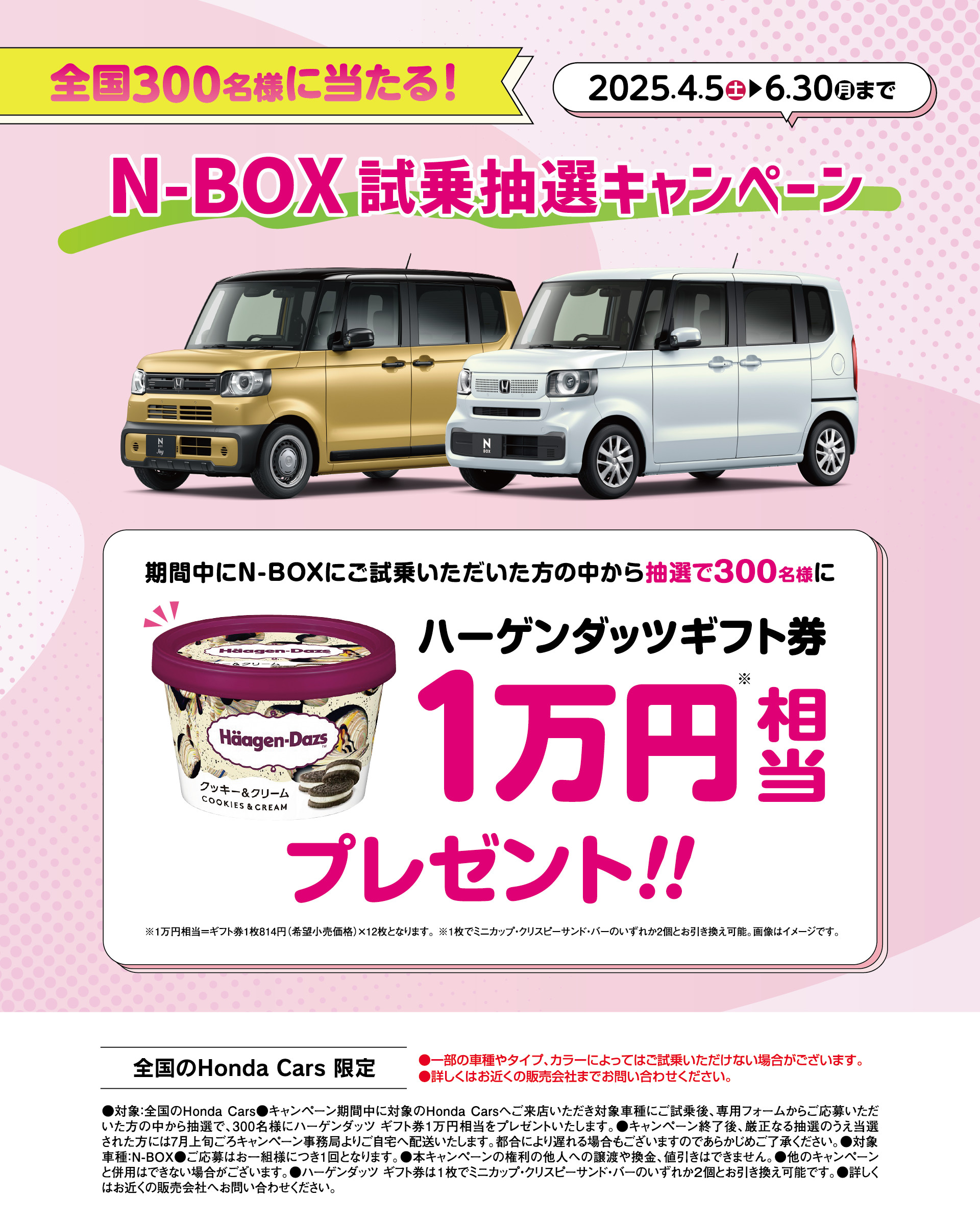 N-BOX試乗抽選キャンペーン│期間中にN-BOXにご試乗いただいた方の中から抽選で300名様にハーゲンダッツギフト券1万円相当プレゼント！